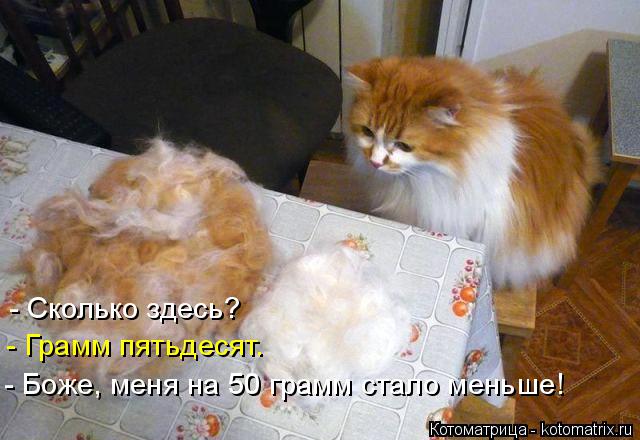 - Сколько здесь? - Грамм пятьдесят. - Боже, меня на 50 грамм стало меньше!... Котоматрица: - Сколько здесь? - Грамм пятьдесят. - Боже, меня на 50 грамм стало меньше!