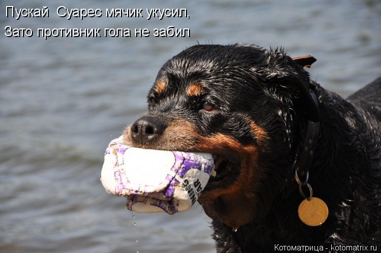 Котоматрица: Пускай  Суарес мячик укусил, Зато противник гола не забил