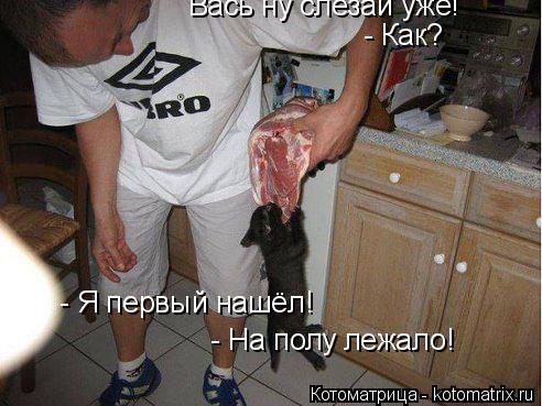 Котоматрица: Вась ну слезай уже!   - Я первый нашёл! - Как? - На полу лежало!