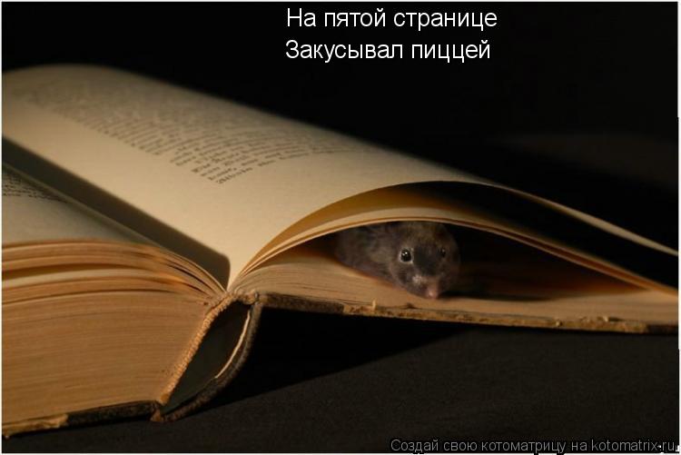 Котоматрица: На пятой странице Закусывал пиццей