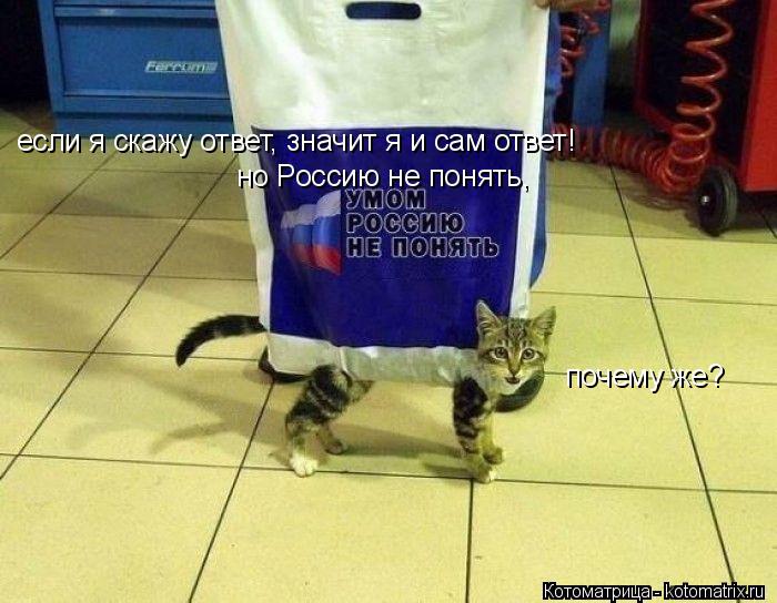 если я скажу ответ, значит я и сам ответ! но Россию не понять, почему же?... Котоматрица: если я скажу ответ, значит я и сам ответ! но Россию не понять, почему же?