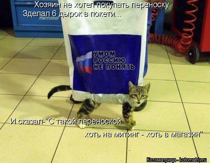 Котоматрица: Хозяин не хотел покупать переноску.   Зделал 6 дырок в покети... И сказал-"С такой переноской  хоть на митинг - хоть в магазин"
