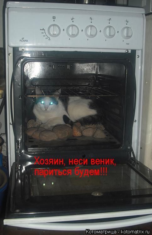 Котоматрица: Хозяин, неси веник, Хозяин, неси веник, париться будем!!! париться будем!!!