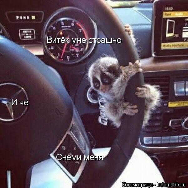 Котоматрица: Витёк мне страшно - И чё Снеми меня