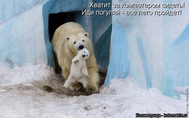 Котоматрица: Хватит за компютером сидеть! Иди погуляй - всё лето пройдёт!