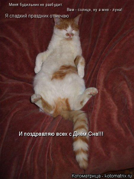 Меня будильник не разбудит. Вам - солнце, ну а мне - луна! Я сладкий праздник отмечаю И поздравляю ... Котоматрица: Меня будильник не разбудит. Вам - солнце, ну а мне - луна! Я сладкий праздник отмечаю И поздравляю всех с Днём Сна!!!