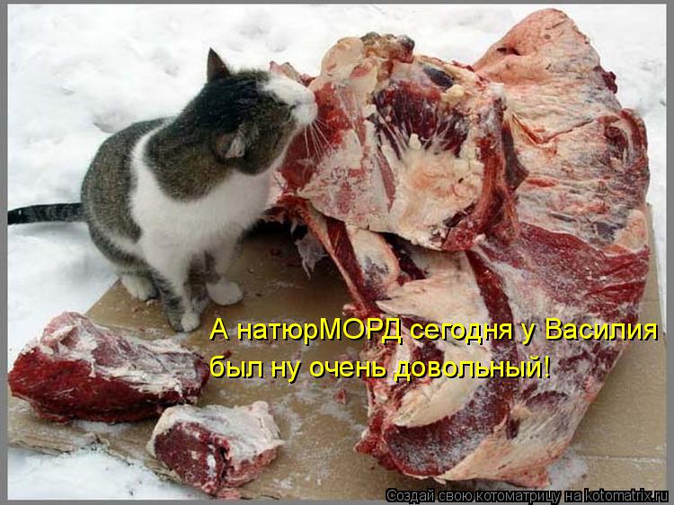 А натюрМОРД сегодня у Василия был ну очень довольный!... Котоматрица: А натюрМОРД сегодня у Василия был ну очень довольный!