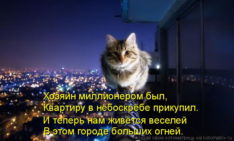 Котоматрица: Хозяин миллионером был, Квартиру в небоскрёбе прикупил. И теперь нам живётся веселей В этом городе больших огней.