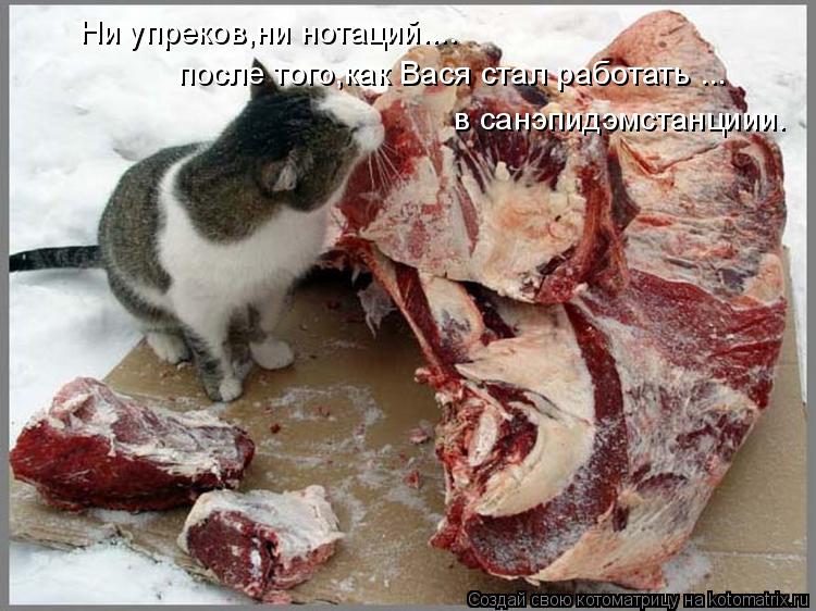 Ни упреков,ни нотаций.... после того,как Вася стал работать ... в санэпидэмстанциии.... Котоматрица: Ни упреков,ни нотаций.... после того,как Вася стал работать ... в санэпидэмстанциии.