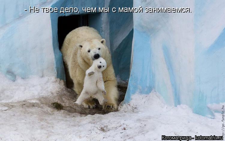 Котоматрица: - Не твое дело, чем мы с мамой занимаемся.