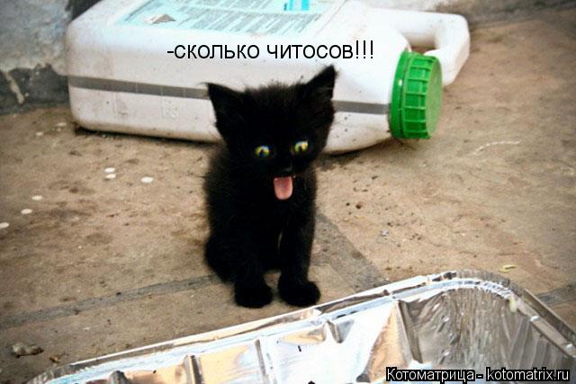 Котоматрица: -сколько читосов!!!