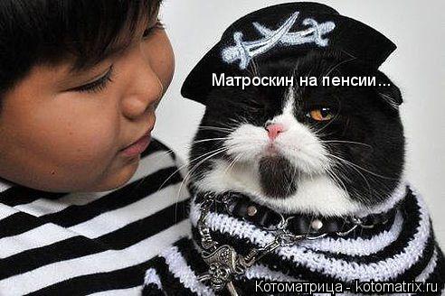 Матроскин на пенсии...... Котоматрица: Матроскин на пенсии...