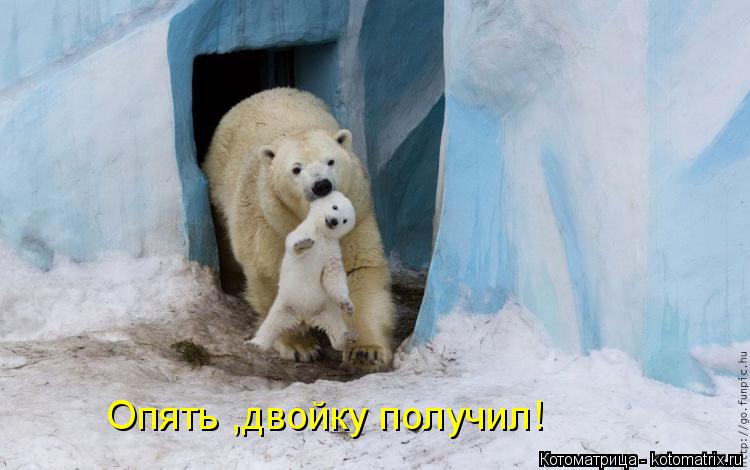 Котоматрица: Опять ,двойку получил!