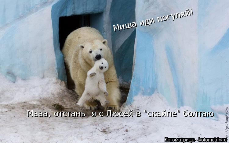 Котоматрица: Миша иди погуляй! Мааа, отстань  я с Люсей в "скайпе" болтаю