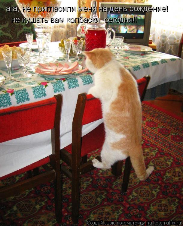 Котоматрица: ага, не пригласили меня на день рождение! не кушать вам колбаски, сегодня!!