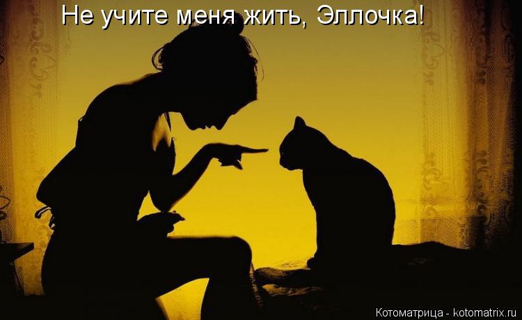 Котоматрица: Не учите меня жить, Эллочка!