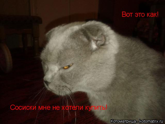 Вот это как! Сосиски мне не хотели купить!... Котоматрица: Вот это как! Сосиски мне не хотели купить!