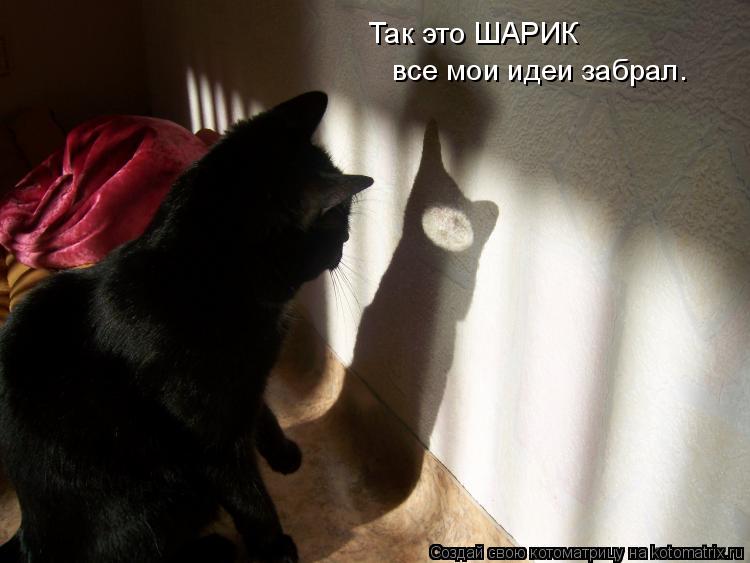 Так это ШАРИК все мои идеи забрал.... Котоматрица: Так это ШАРИК все мои идеи забрал.