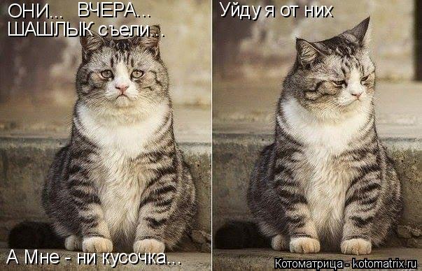 Котоматрица: ОНИ... ВЧЕРА... ШАШЛЫК съели... А Мне - ни кусочка... Уйду я от них