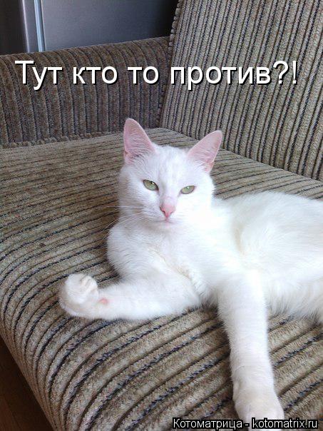 Котоматрица: Тут кто то против?!