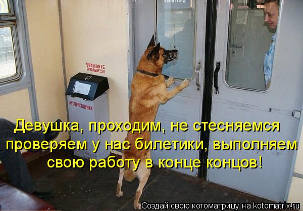 Котоматрица: Девушка, проходим, не стесняемся проверяем у нас билетики, выполняем свою работу в конце концов!