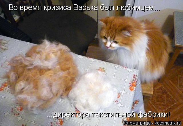 Котоматрица: Во время кризиса Васька был любимцем... ...директора текстильной фабрики!