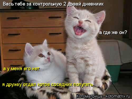 Котоматрица: Вась тебе за контрольную 2 довай дневниик а у меня его нет а где же он? я дружку отдал котов соседних попугать