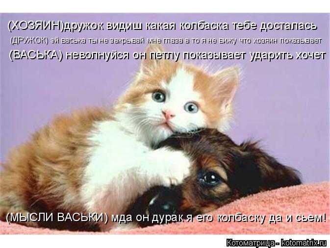 Котоматрица: (ХОЗЯИН)дружок видиш какая колбаска тебе досталась (ДРУЖОК) эй васька ты не закрывай мне глаза а то я не вижу что хозяин показывает (ВАСЬКА) н