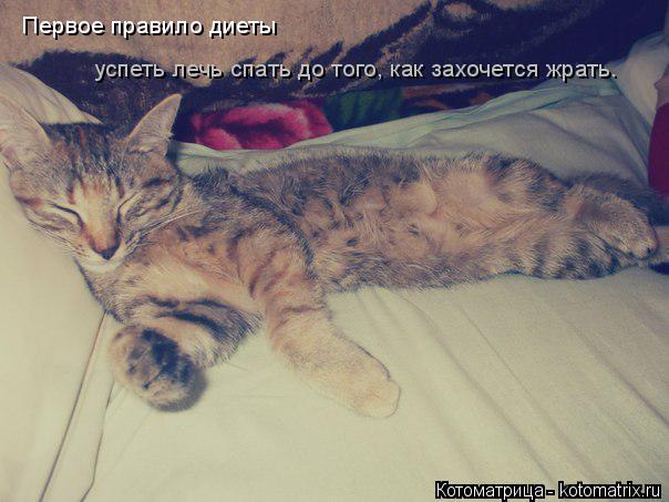 Котоматрица: Первое правило диеты успеть лечь спать до того, как захочется жрать.