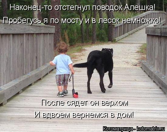 Котоматрица: После сядет он верхом И вдвоем вернемся в дом! Наконец-то отстегнул поводок Алешка! Пробегусь я по мосту и в лесок немножко!