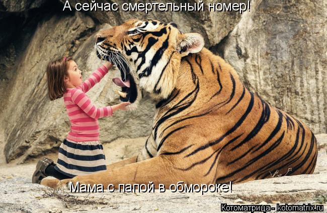 Котоматрица: А сейчас смертельный номер!  Мама с папой в обмороке!