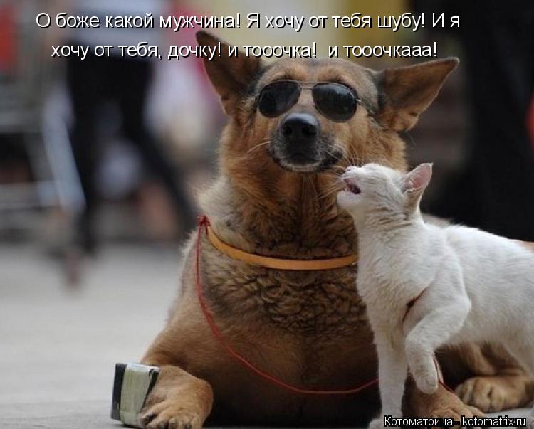 Котоматрица: О боже какой мужчина! Я хочу от тебя шубу! И я  хочу от тебя, дочку! и тооочка!  и тооочкааа!