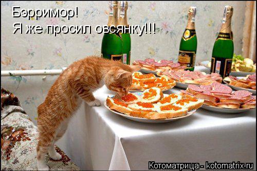 Котоматрица: Бэрримор! Я же просил овсянку!!!