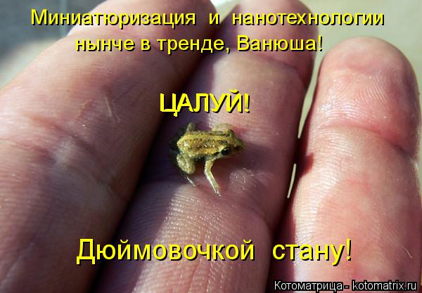 Котоматрица: нынче в тренде, Ванюша! ЦАЛУЙ! ЦАЛУЙ! Дюймовочкой  стану! Миниатюризация  и  нанотехнологии