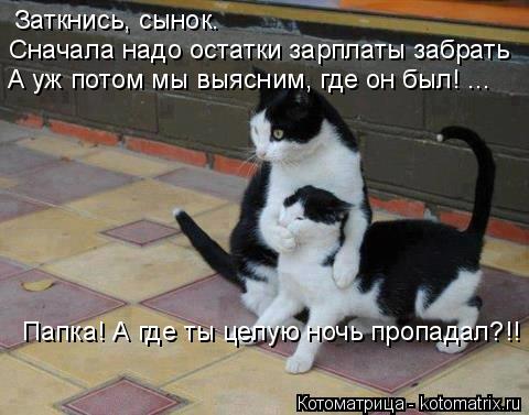 Котоматрица: Папка! А где ты целую ночь пропадал?!! Заткнись, сынок.  Сначала надо остатки зарплаты забрать А уж потом мы выясним, где он был! ...