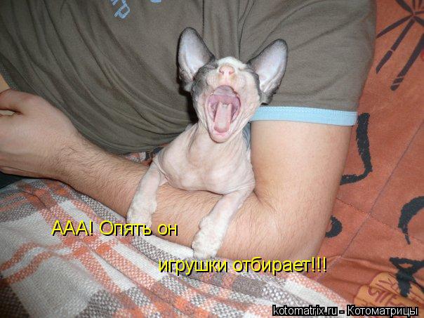 ААА! Опять он игрушки отбирает!!!... Котоматрица: ААА! Опять он игрушки отбирает!!!