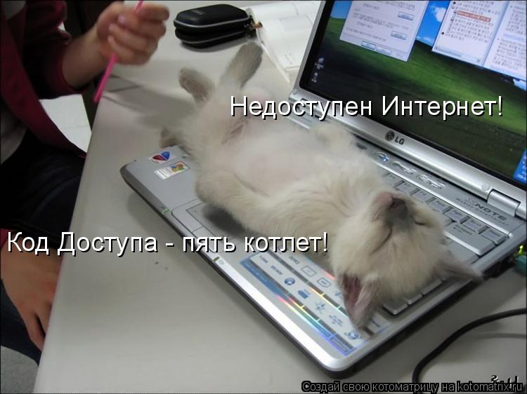 Котоматрица: Код Доступа - пять котлет! Недоступен Интернет!