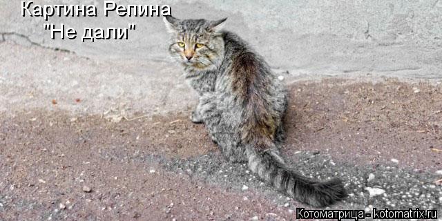 Котоматрица: "Не дали" Картина Репина
