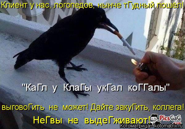 Котоматрица: Клиент у нас, логопедов, нынче тГудный пошёл! "КаГл  у  КлаГы  укГал  коГГалы"  НеГвы  не  выдеГживают! выговоГить  не  может! Дайте закуГить, кол