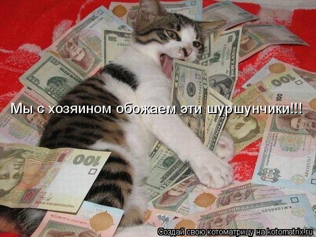 Котоматрица: Мы с хозяином обожаем эти шуршунчики!!!