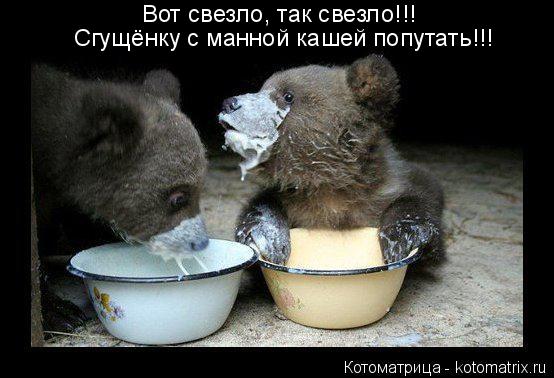 Вот свезло, так свезло!!! Сгущёнку с манной кашей попутать!!!... Котоматрица: Вот свезло, так свезло!!! Сгущёнку с манной кашей попутать!!!