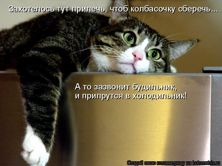 Котоматрица: Захотелось тут прилечь, чтоб колбасочку сберечь... А то зазвонит будильник,  и припрутся в холодильник!