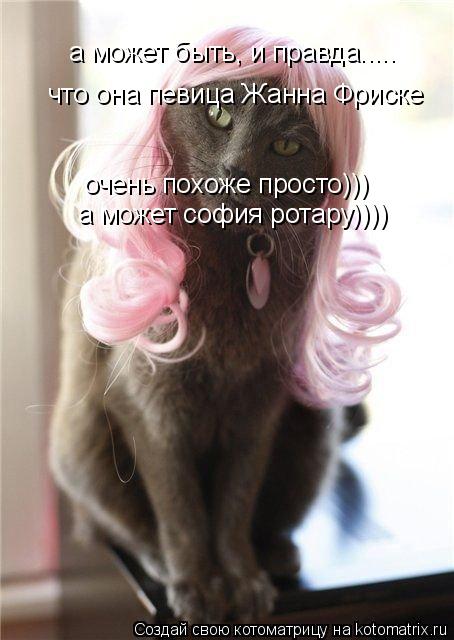 Котоматрица: а может быть, и правда..... что она певица Жанна Фриске очень похоже просто))) а может софия ротару))))