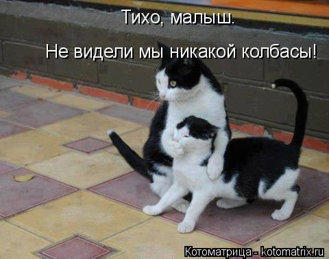Тихо, малыш. Не видели мы никакой колбасы!... Котоматрица: Тихо, малыш. Не видели мы никакой колбасы!