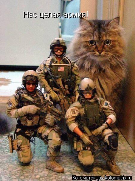 Котоматрица: Нас целая армия!
