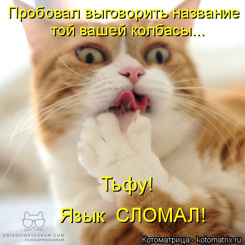 Котоматрица: Пробовал выговорить название  той вашей колбасы... Тьфу! Язык  СЛОМАЛ!
