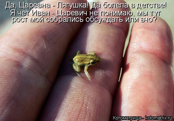 Да, Царевна - Лягушка! Да болела в детстве! Я чёт Иван - Царевич не понимаю, мы тут рост мой собрали... Котоматрица: Да, Царевна - Лягушка! Да болела в детстве! Я чёт Иван - Царевич не понимаю, мы тут рост мой собрались обсуждать или вчо?