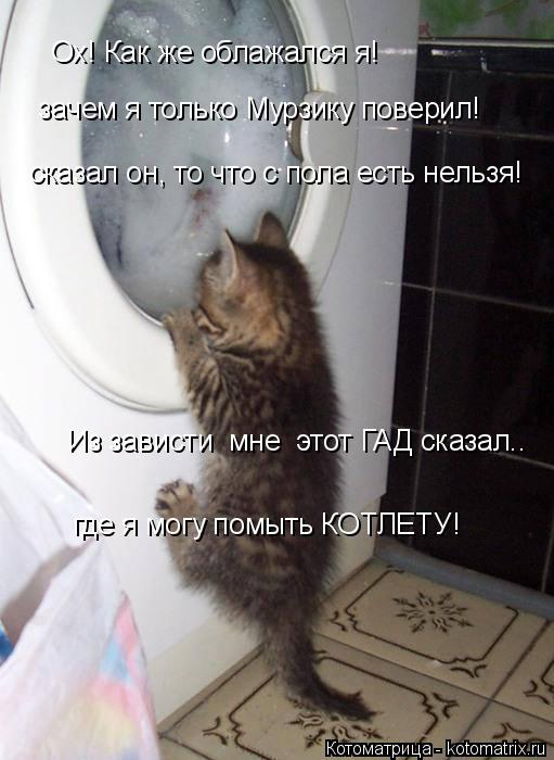 зачем я только Мурзику поверил! сказал он, то что с пола есть нельзя! где я могу помыть КОТЛЕТУ! Из з... Котоматрица: зачем я только Мурзику поверил! сказал он, то что с пола есть нельзя! где я могу помыть КОТЛЕТУ! Из зависти мне этот ГАД сказал.. Ох! Как же об