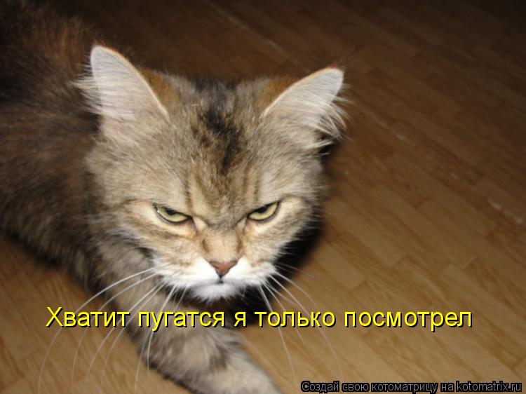 Хватит пугатся я только посмотрел... Котоматрица: Хватит пугатся я только посмотрел