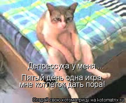 Котоматрица: Депрессуха у меня ... Пятый день одна икра, мне котлеток дать пора!